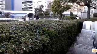 山城棒棒军2后入深圳93年小骚货，叫声可射